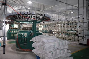 麗富藝集團各生產(chǎn)廠工作動態(tài)